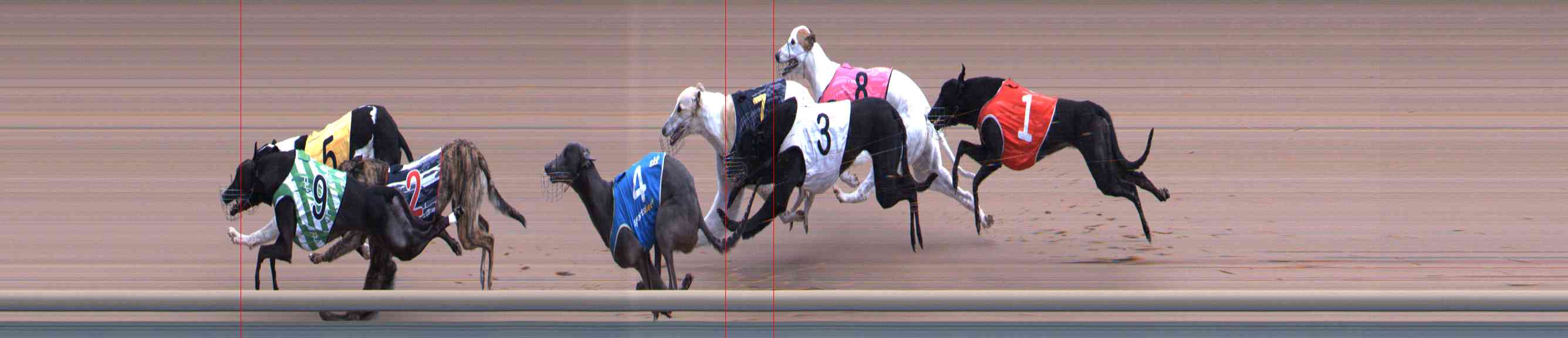 Race result finish photo